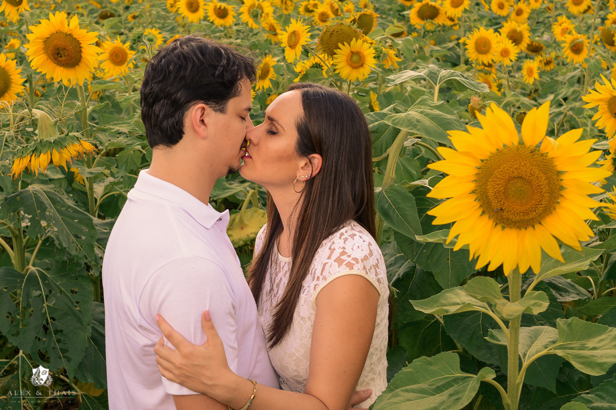 Ensaio Pre Wedding Holambra, Ensaio Casal Fernanda e Jose, com Theos Turismo Holambra.