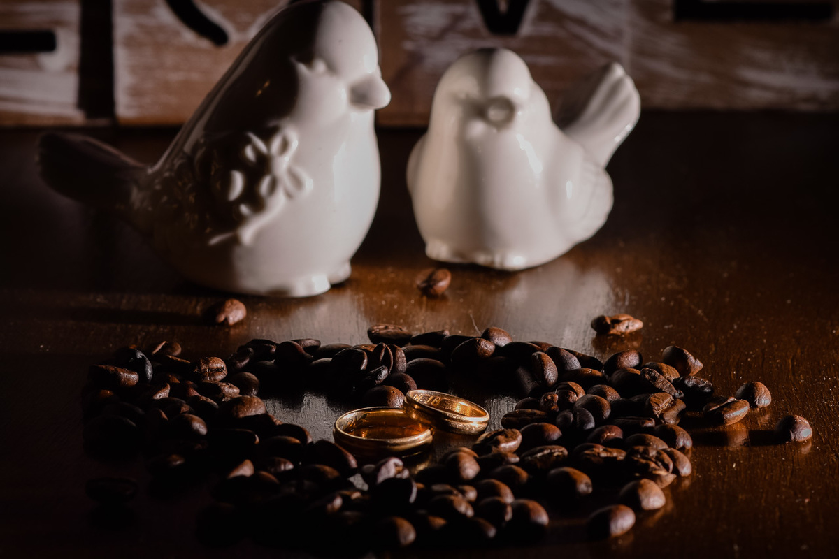 Fotos da festa de casamento, recepção no vale verde, alianças dos noivos.