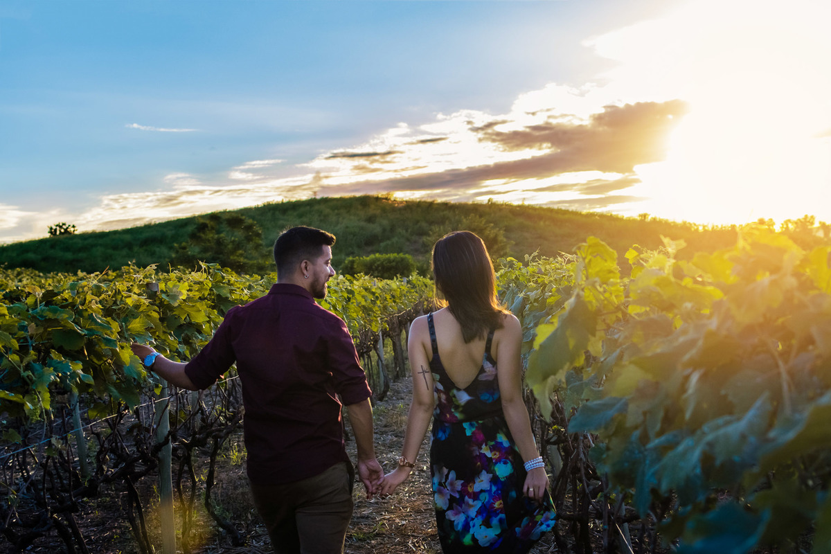 ensaio Pré-Wedding dos noivos Tamy e Junior,  no Vinha em louveira. Plantação de Uva. Ensaio noivos. Pre wedding na vinha. vinicola. Pre Wedding diferente.