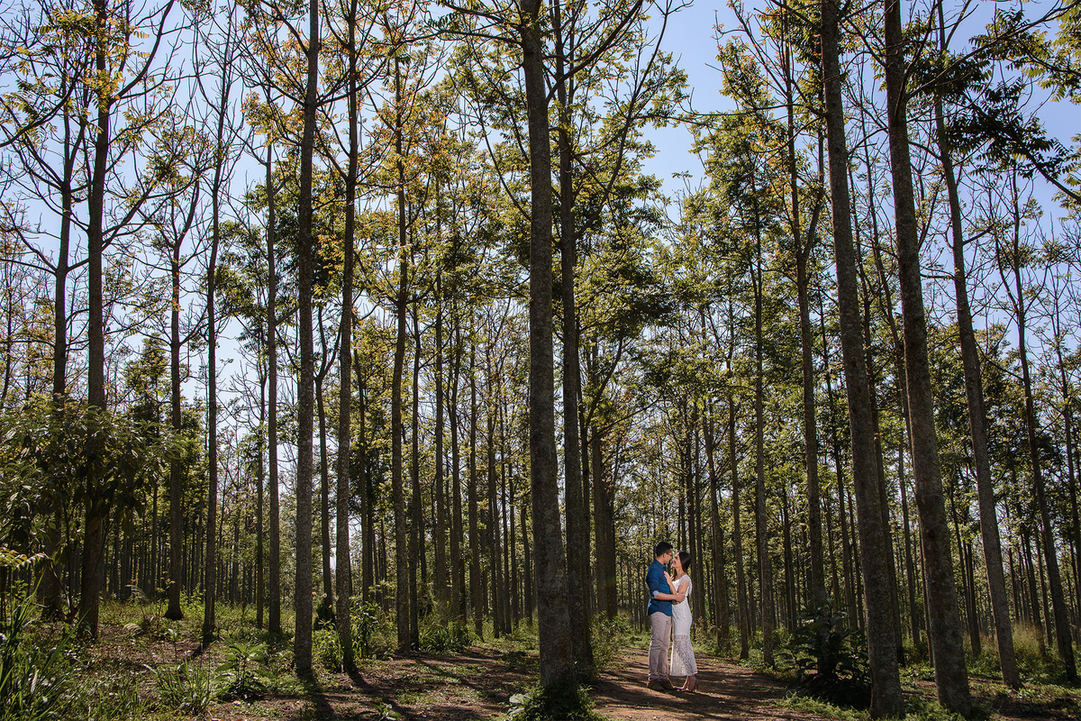 Ensaio Pre Wedding Holambra, Ensaio Casal, Theos Turismo Holambra. Holambra cidade das flores. 