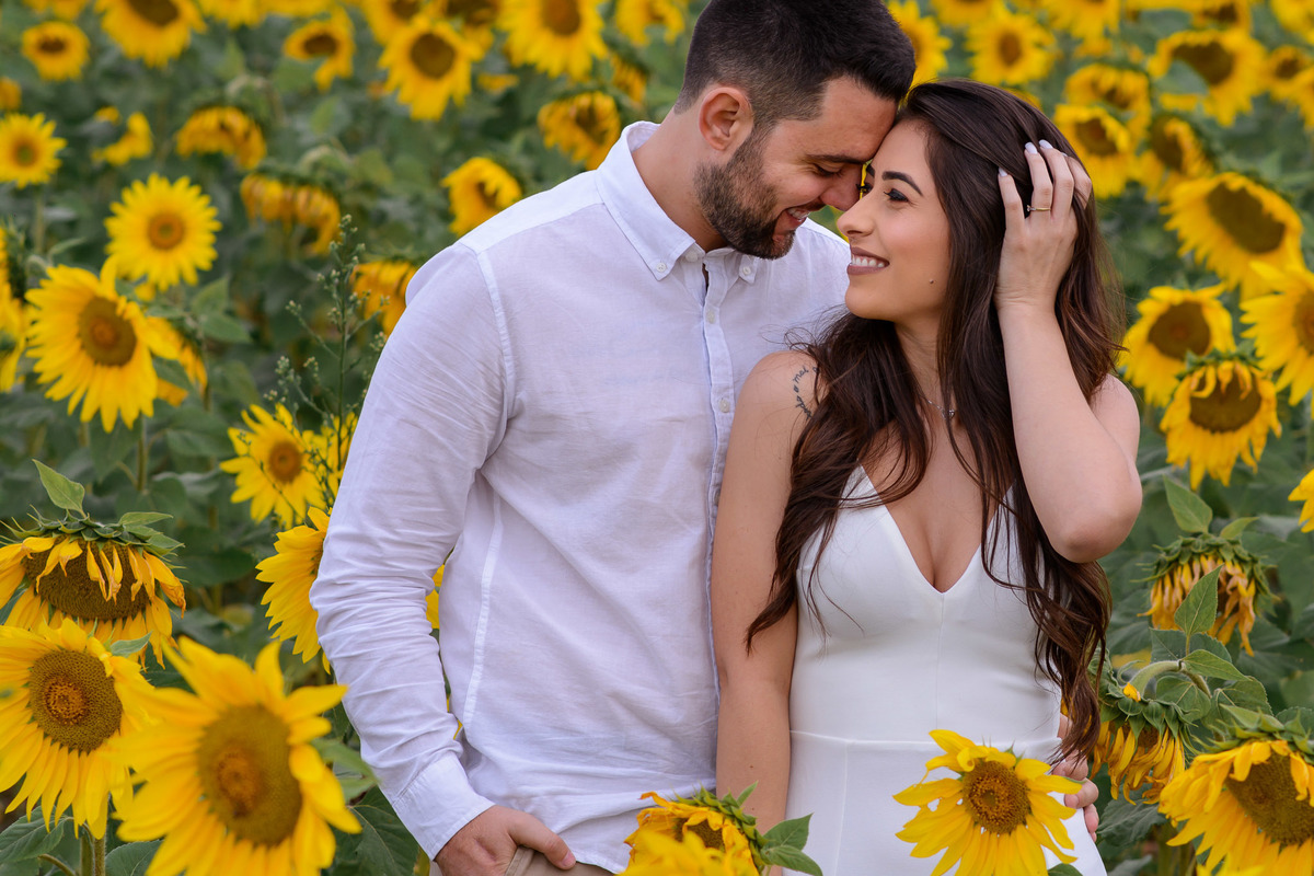 Ensaio Pre Wedding Holambra, Ensaio Casal, Theos Turismo Holambra. Holambra cidade das flores. Ensaio pre wedding na plantação de girassol.