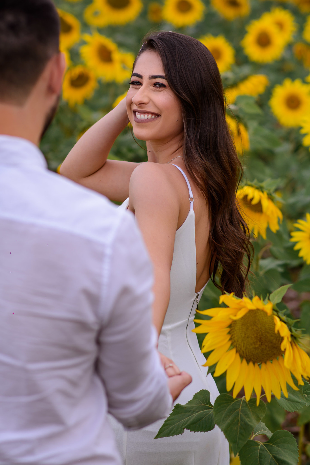 Ensaio Pre Wedding Holambra, Ensaio Casal, Theos Turismo Holambra. Holambra cidade das flores. Ensaio pre wedding na plantação de girassol.