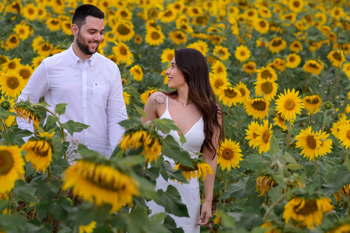Ensaio Pre Wedding Holambra, Ensaio Casal, Theos Turismo Holambra. Holambra cidade das flores. Ensaio pre wedding na plantação de girassol.