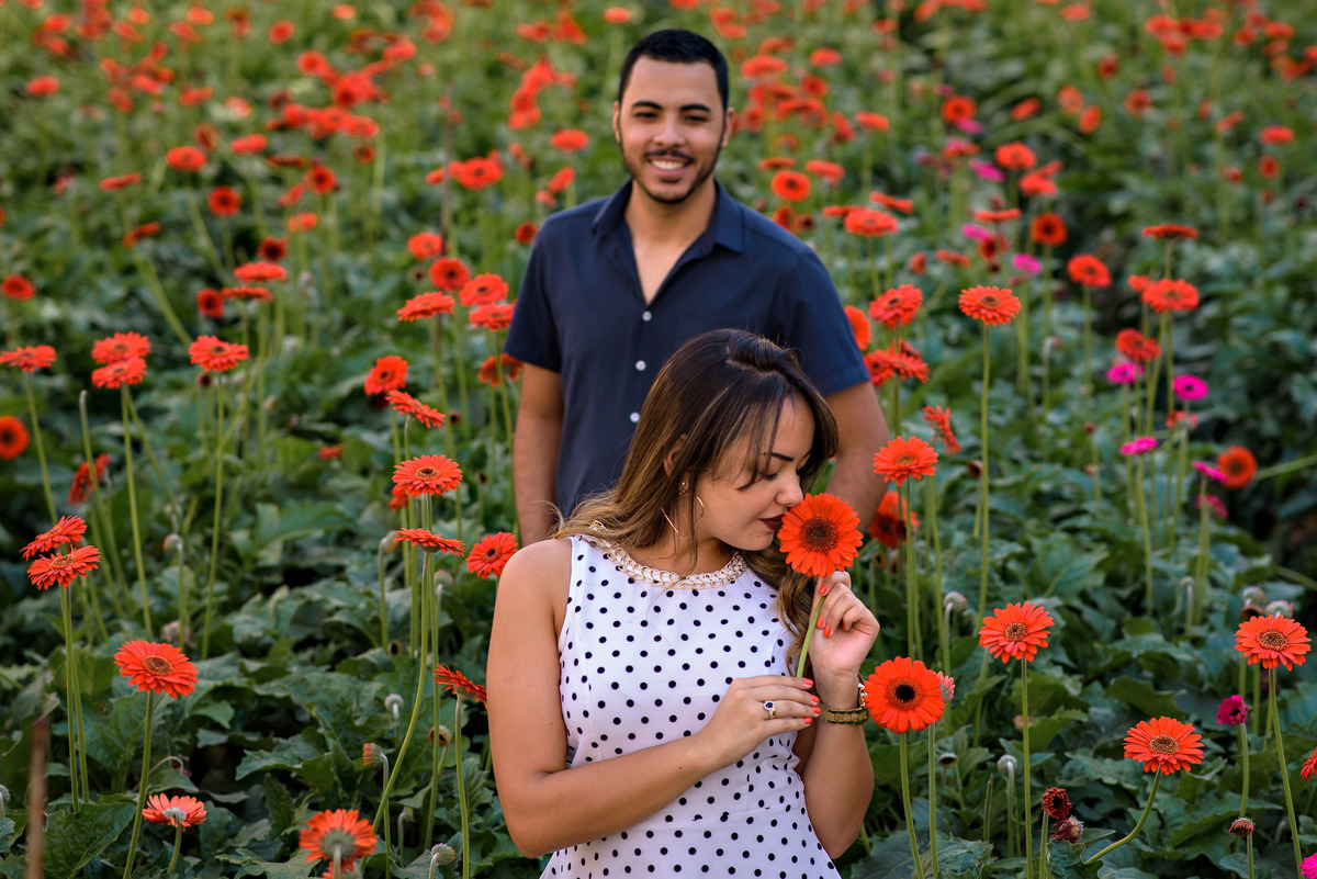 Ensaio Pre Wedding Holambra, Ensaio Casal, Theos Turismo Holambra. Holambra cidade das flores. Ensaio pre wedding holambra. noivos holambra. Estufa de flores. ensaio na estufa. 
