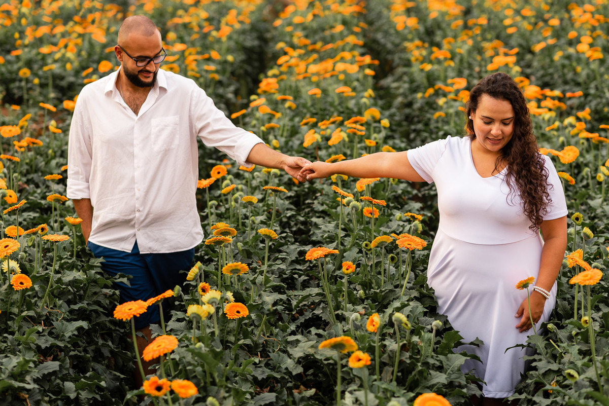 Ensaio Pre Wedding Holambra, Ensaio Casal, Theos Turismo Holambra. Holambra cidade das flores. Ensaio pre wedding na plantação de girassol. Moinho. Plantação de trigo