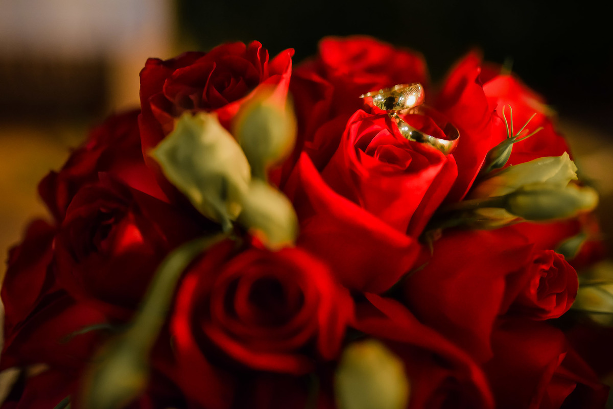 Cerimonia de casamento, chacara paraiso. Fotos de casamento. Wedding. casamento ao ar livre. casamento no campo. vestido da noiva. festa de casamento, balada de casamento, chacara paraiso. salao paraiso. Alianca de casamento. alianca dos noivos.