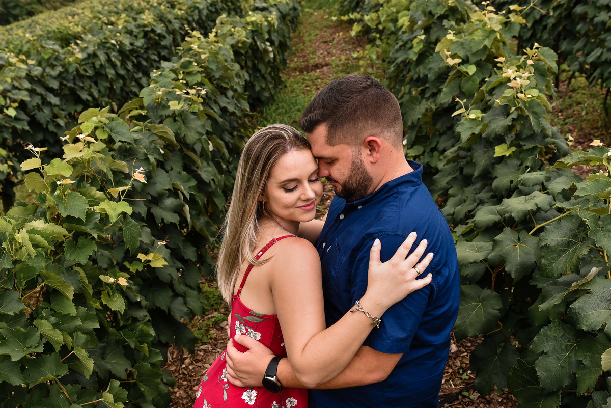 Ensaio Pré-Wedding dos noivos Angela e João,  no Vinha em Jundiai. Plantação de Uva. Ensaio noivos. Pre wedding na vinha. vinicola. Pre Wedding diferente. Adega Ensaio na adega. Adega Maziero