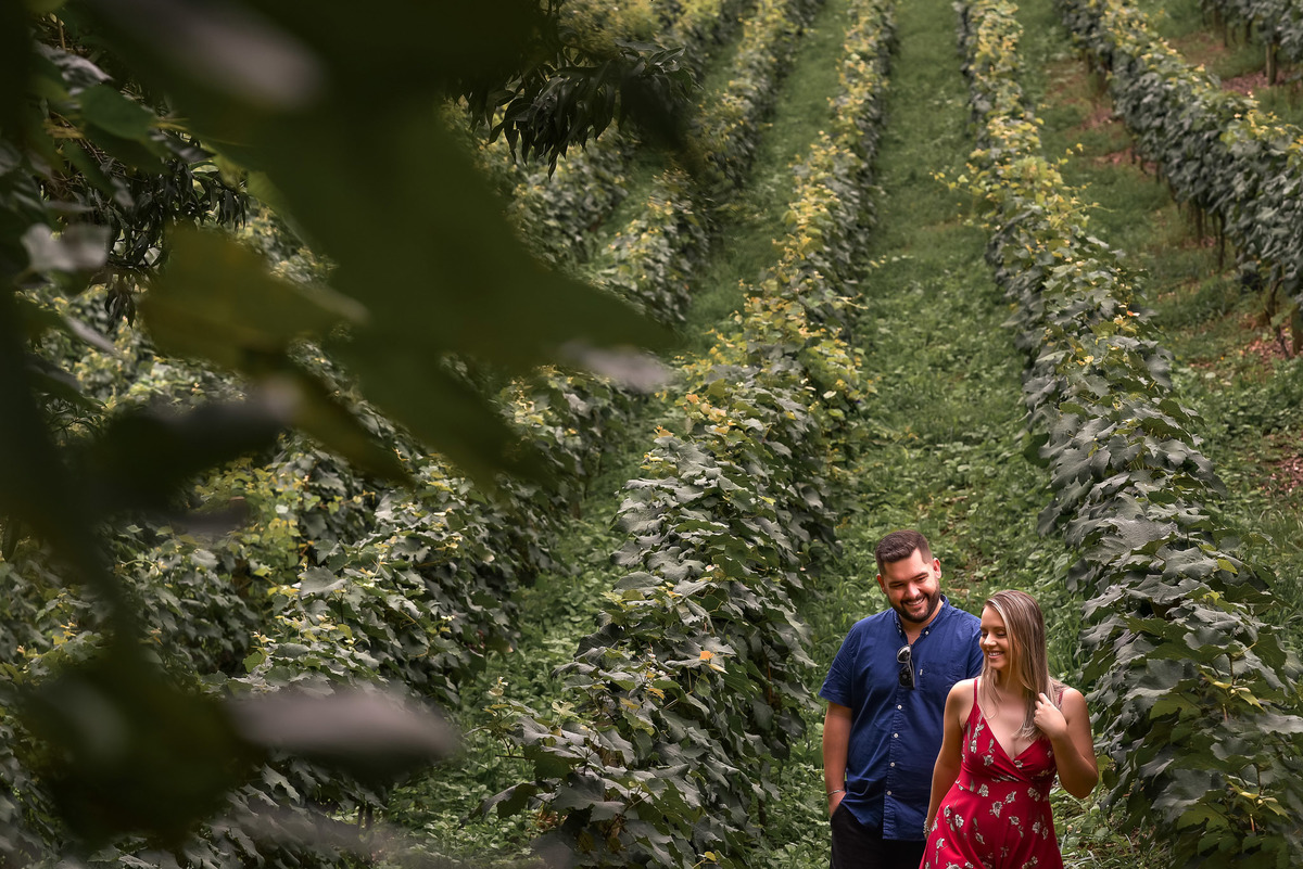 Ensaio Pré-Wedding dos noivos Angela e João,  no Vinha em Jundiai. Plantação de Uva. Ensaio noivos. Pre wedding na vinha. vinicola. Pre Wedding diferente. Adega Ensaio na adega. Adega Maziero