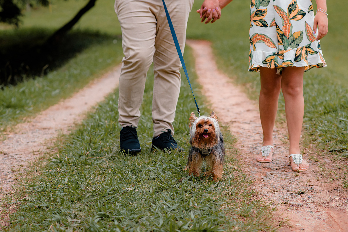 Ensaio pre casamento, pre wedding, emporio tapera grande, prewedding na fazenda, pre wedding com dog, pre wedding com cachorro, ensaio com caozinho, yorkshare, mini yorkshare. amor por cao, noivos itatiba, ideias para pre wedding. dicas para pre wedding.