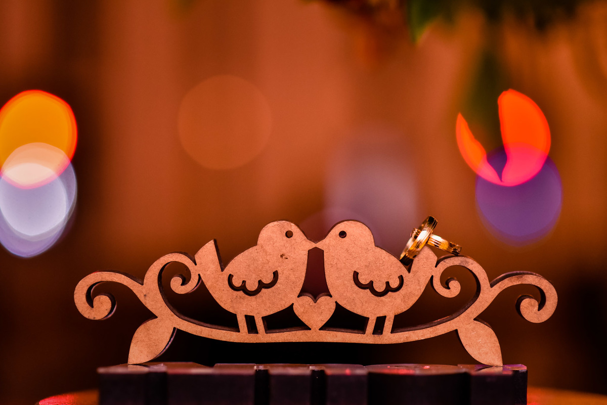 Cerimonia de casamento no salão, casamento na chacara, Recanto Mario e Maria, casamento jundiai.  casamento. fotos de casamento. casamento Arlene e Lucas, fotos festa de casamento, festas animadas em casamento, alianças dos noivos