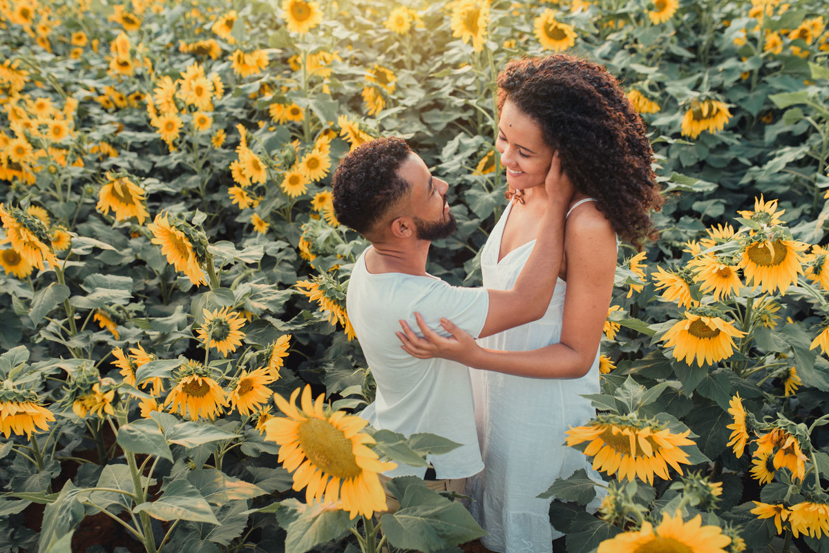 Ensaio Pre Wedding Holambra, Ensaio Casal, Theos Turismo Holambra. Holambra cidade das flores. Ensaio pre wedding na plantação de girassol. Campo de rosas