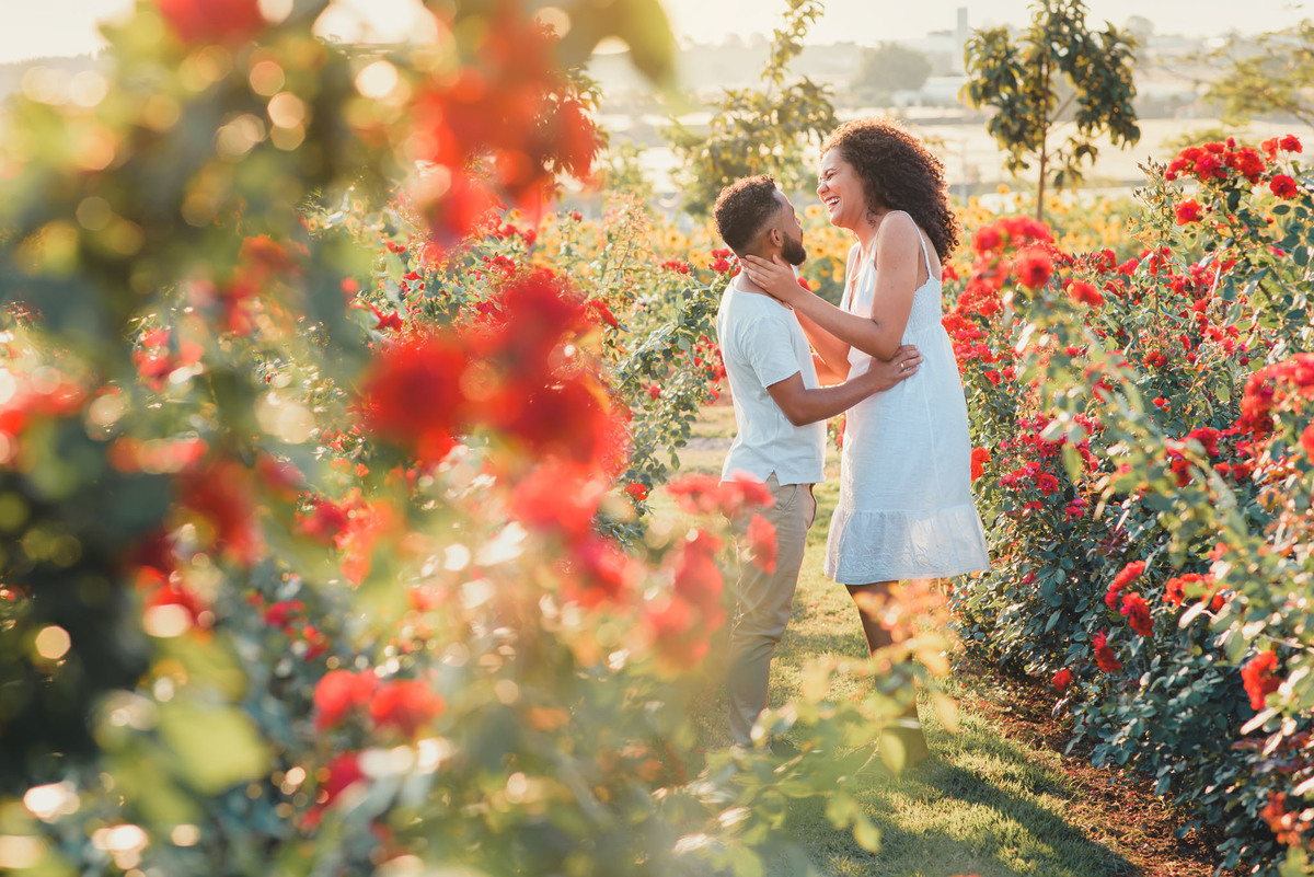 Ensaio Pre Wedding Holambra, Ensaio Casal, Theos Turismo Holambra. Holambra cidade das flores. Ensaio pre wedding na plantação de girassol. Campo de rosas