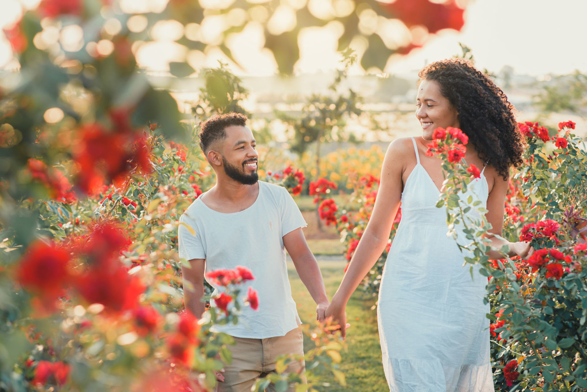 Ensaio Pre Wedding Holambra, Ensaio Casal, Theos Turismo Holambra. Holambra cidade das flores. Ensaio pre wedding na plantação de girassol. Campo de rosas