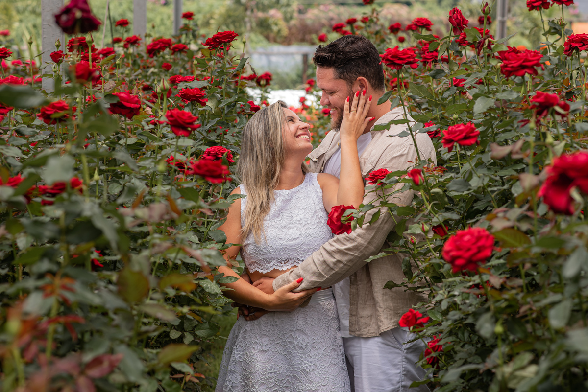 Ensaio Pre Wedding Holambra, Ensaio Casal, Theos Turismo Holambra. Holambra cidade das flores. Ensaio pre wedding na plantação de girassol. Campo de rosas