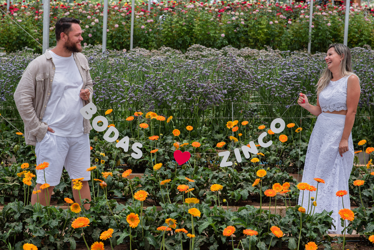 Ensaio Pre Wedding Holambra, Ensaio Casal, Theos Turismo Holambra. Holambra cidade das flores. Ensaio pre wedding na plantação de girassol. Campo de rosas