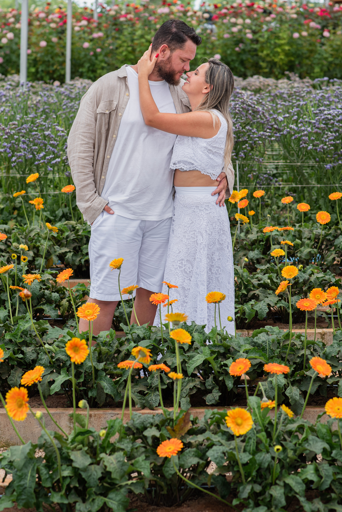 Ensaio Pre Wedding Holambra, Ensaio Casal, Theos Turismo Holambra. Holambra cidade das flores. Ensaio pre wedding na plantação de girassol. Campo de rosas