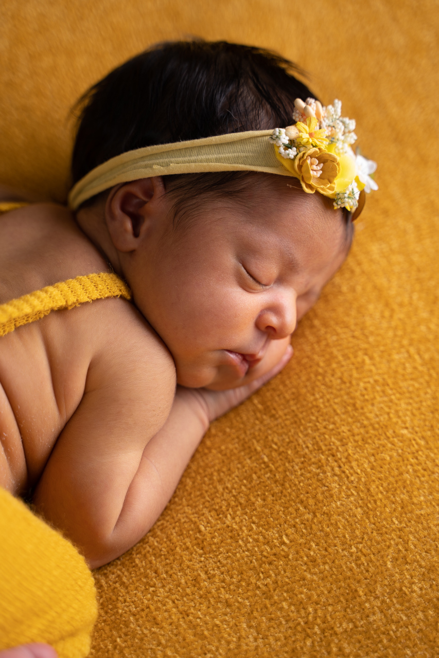 sessão fotográfica recém nascido