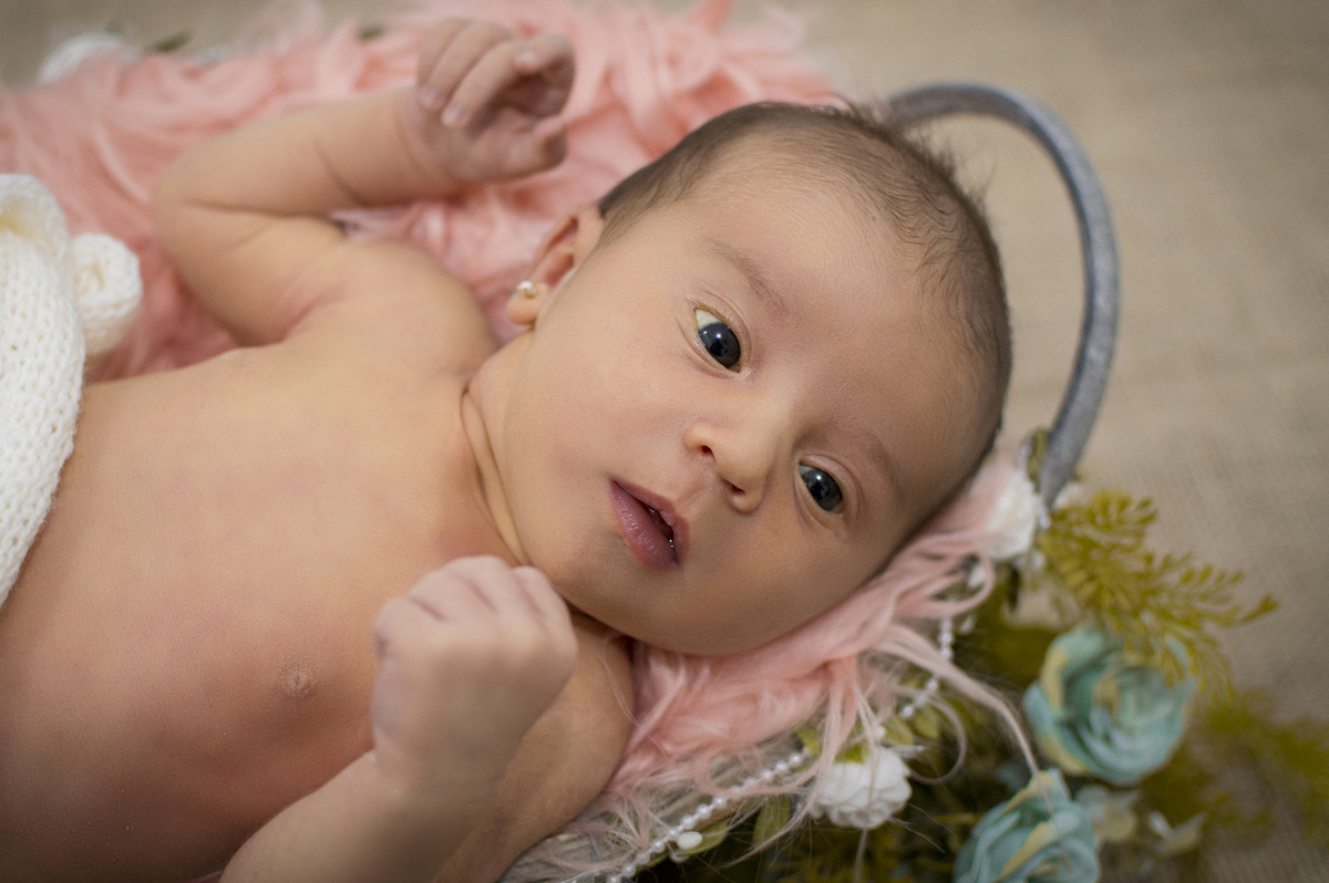 fotografia de recem nascidos, newborn, ensaios especiais de bebês, newborn mágico, fotografia de bebês, estúdio fotográfico recém nascidos, newborn de menina