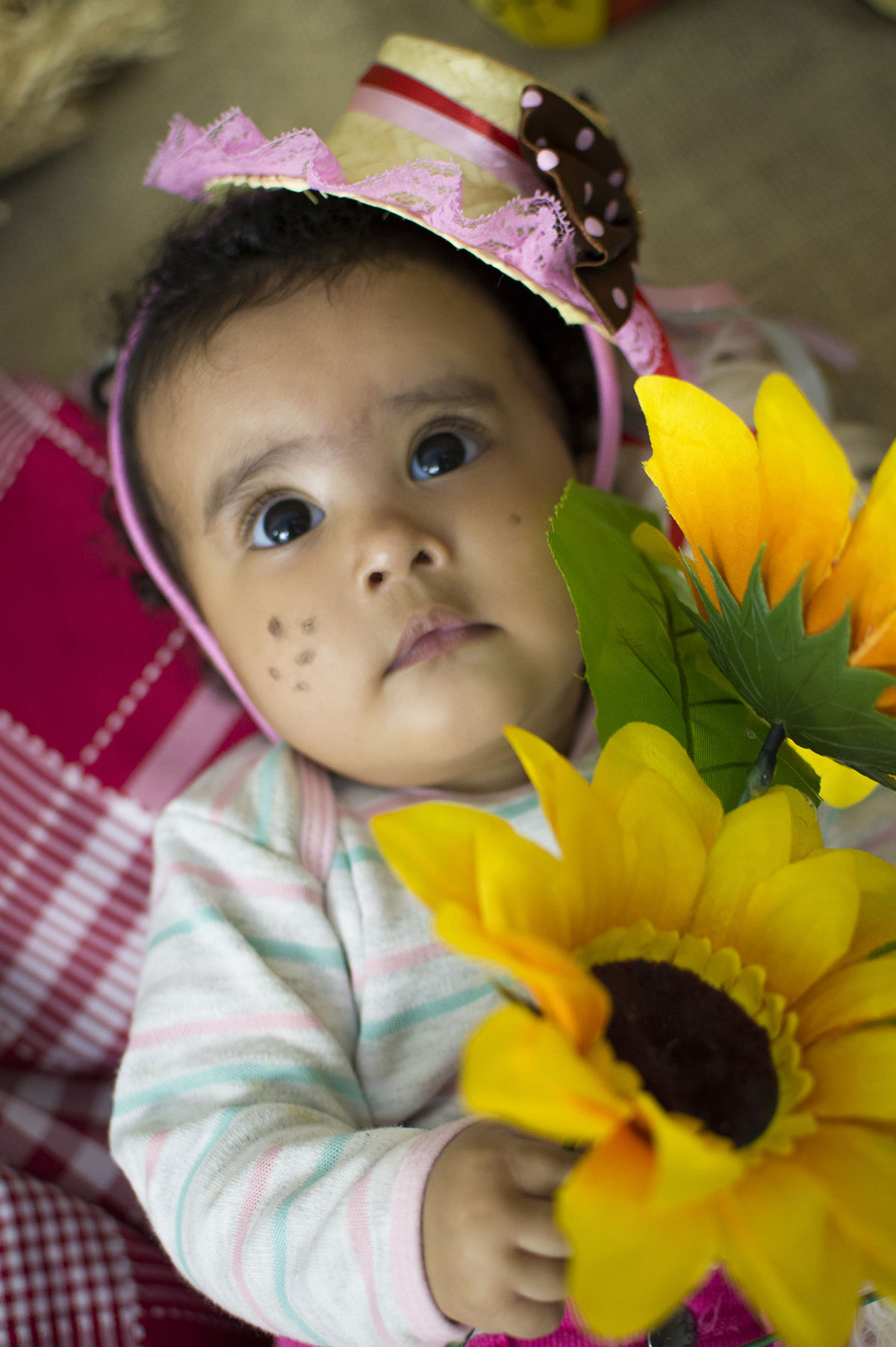 gêmeos, acompanhamento de bebês, acompanhamento mensal, fotografia de gêmeos, fotografia gemelar, irmãos, fotografia de irmãos, fotografia de família, estúdio, fotografia infantil, pais e filhos, amor, família, festa junina infantil, festa junina, arraiá
