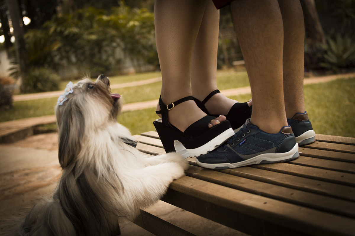 ensaio casal jaú, casal, pre weddign jau, fotógrafo de bariri, fotógrafo de família, fotógrafo casais Jaú, fotógrafo profissional, ensaios fotográficos jaú e bariri, ensaios externos jaú,e bariri