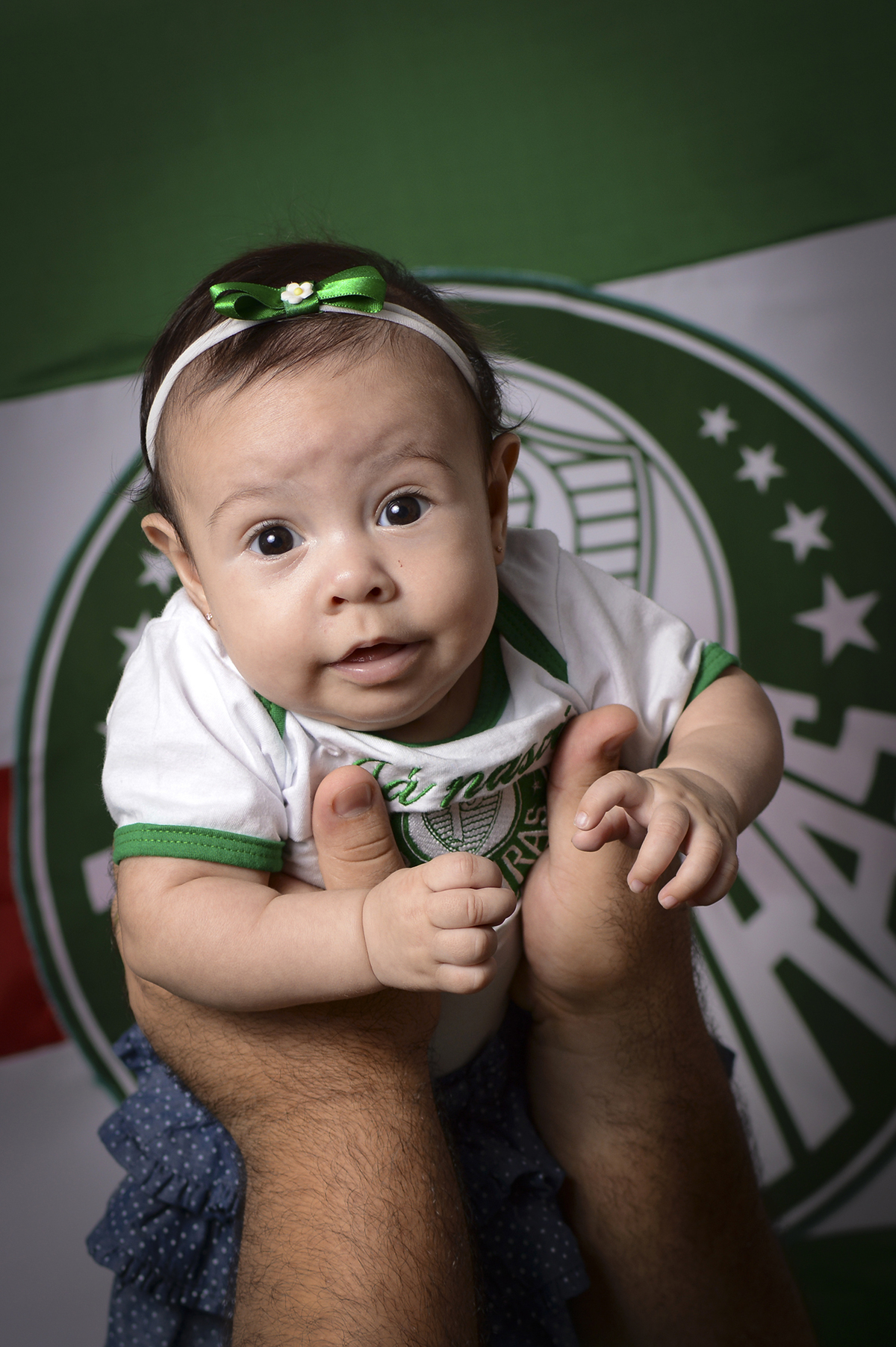 de família, acompanhamento mensal, estúdio fotográfico profissional, palmeiras, time do coração, verdão