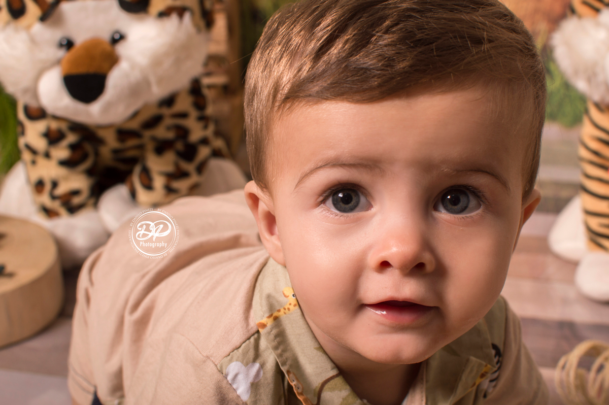 acompanhamento mensal de bebê, newborn, fotógrafo de família e bebês, estúdio fotográfico jaú, estúdio fotográfico Bariri, fotógrafo newborn, newborn, acompanhamento fotográfico, fotografias especiais, ensaios especiais, Safari Infantil