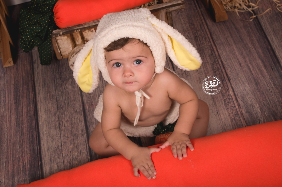 acompanhamento mensal de bebê, newborn, fotógrafo de família e bebês, estúdio fotográfico jaú, estúdio fotográfico Bariri, fotógrafo newborn, newborn, acompanhamento fotográfico, fotografias especiais, ensaios especiais, ensaio de páscoa infantil