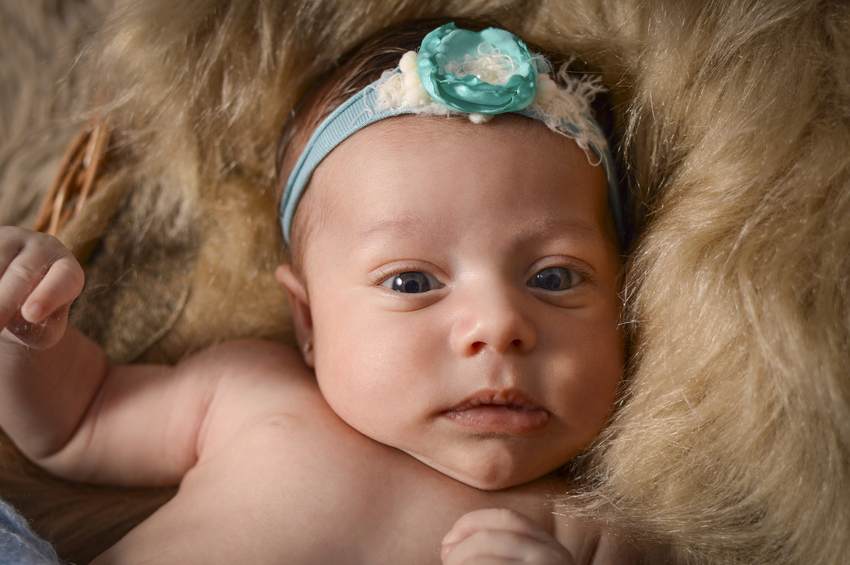 Acompanhamento mensal, fotografia de família, fotografia de bebês, estúdio fotográfico, newborn, gestantes, fotografia mensal.