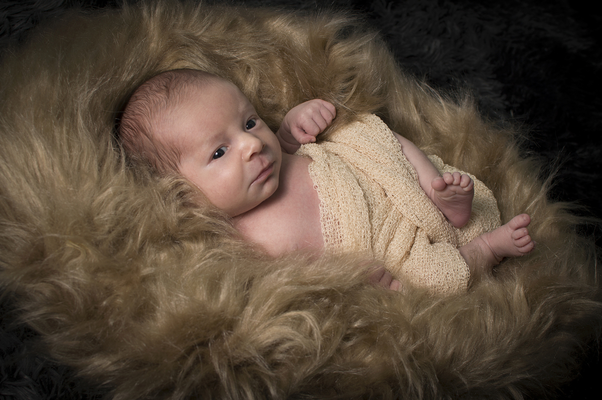 newborn bariri, newborn jaú, estúdio newborn, fotógrafo newborn, fotógrafo de família, recém nascidos, fotografia de bebês, acompanhamento mensal