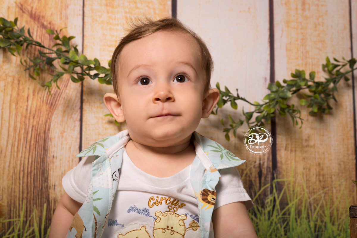 newborn, acompanhamento mensal, fotografia de bebês, fotografia de família, família, bebês, ensaios de bebês, safari