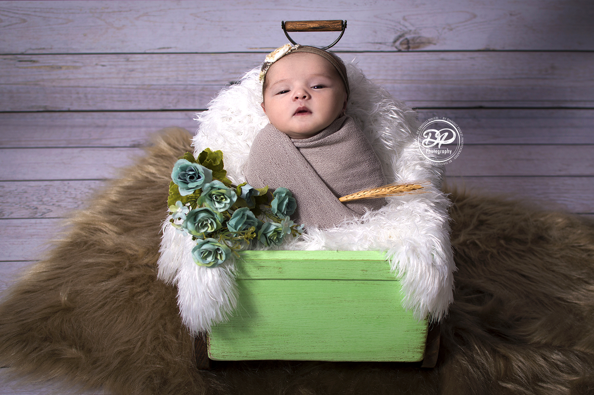 newborn, natural newborn, newborn jau e região, Danilo Pinezi Fotografia, Fotógrafo de Família, estúdio especializado em newborn, ensaio de recém nascidos