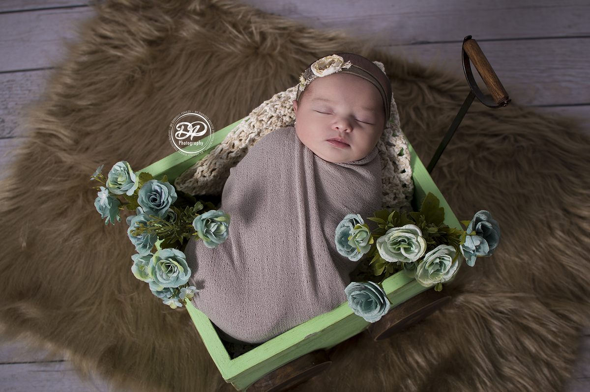 newborn, natural newborn, newborn jau e região, Danilo Pinezi Fotografia, Fotógrafo de Família, estúdio especializado em newborn, ensaio de recém nascidos