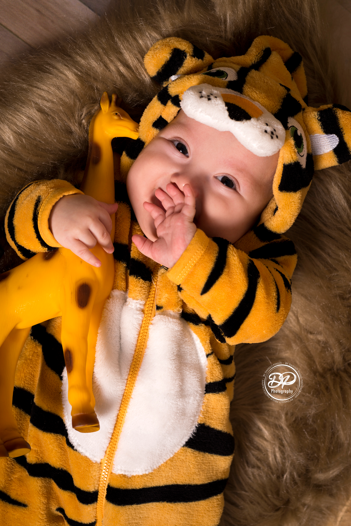 newborn, acompanhamento mensal, fotografia de bebês, fotografia de família, família, bebês, safari infantil