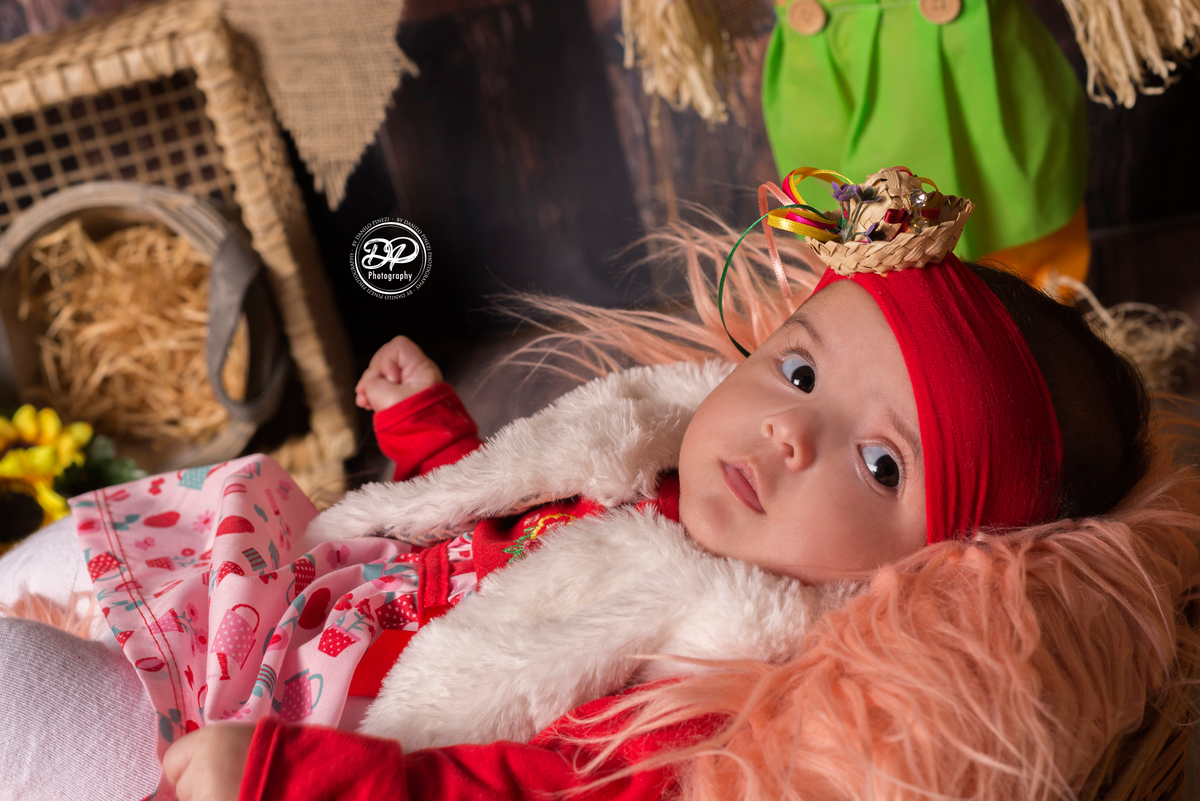 acompanhamento mensal, bebês, fotografia de bebês, fotógrafo de bebês, estúdio fotográfico bariri/jaú, danilo pinezi fotografia, festa caipira, arraiá