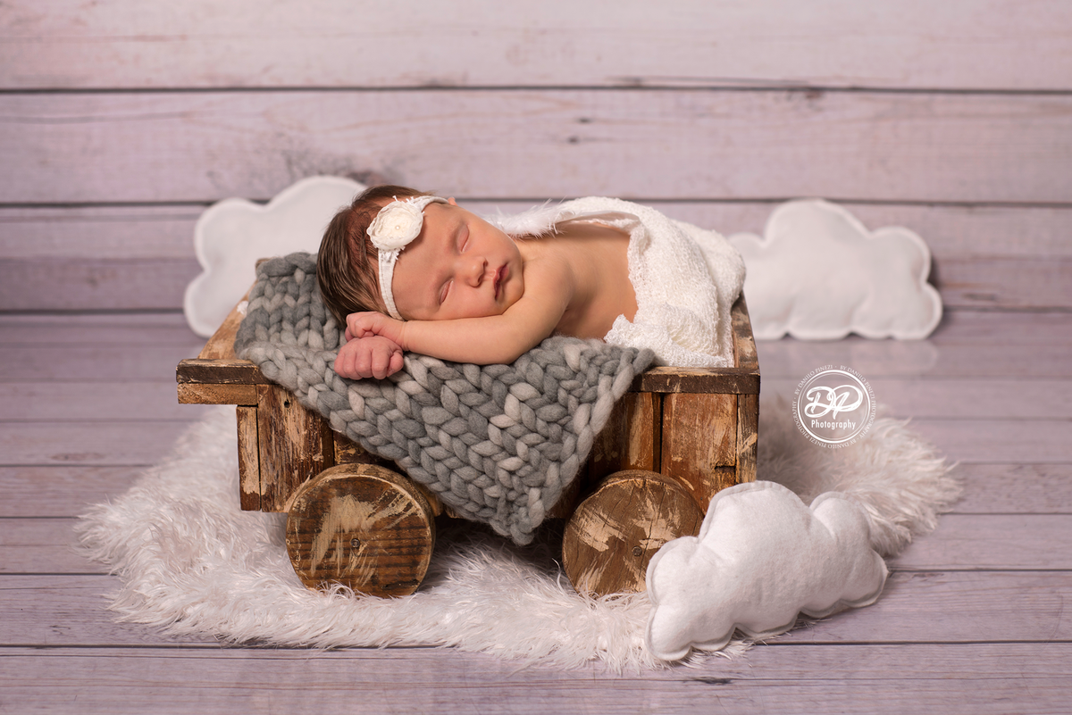 Newborn de menina executado em Bariri, deitada, dentro de carrinho de mão com asinha de anjo e nuvens de feltro, estúdio Danilo Pinezi Fotografia