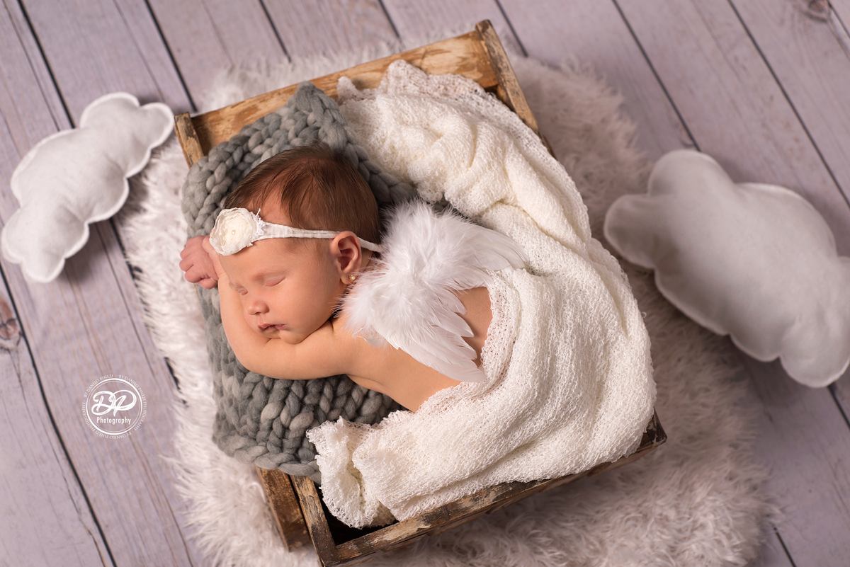 Newborn de menina executado em Bariri, deitada, dentro de carrinho de mão com asinha de anjo e nuvens de feltro, estúdio Danilo Pinezi Fotografia