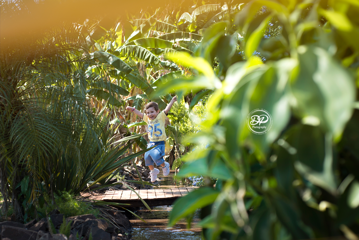 menino saltando feliz na ponte de um jardim, em ensaio família  externo feito em bariri/ SP.