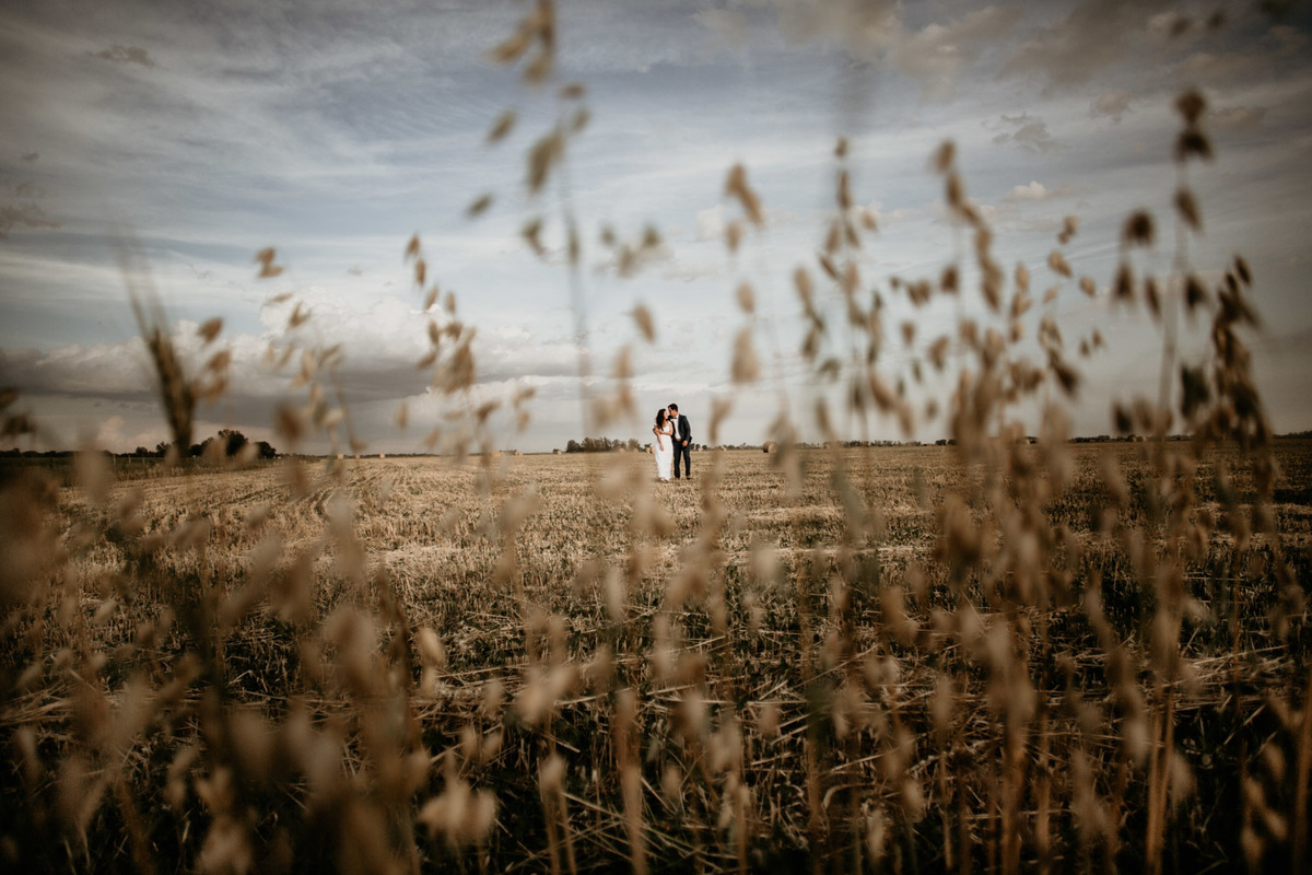Trigo para esta pareja al atardecer al aire libre del campo de trigo. Erika Fayolle.