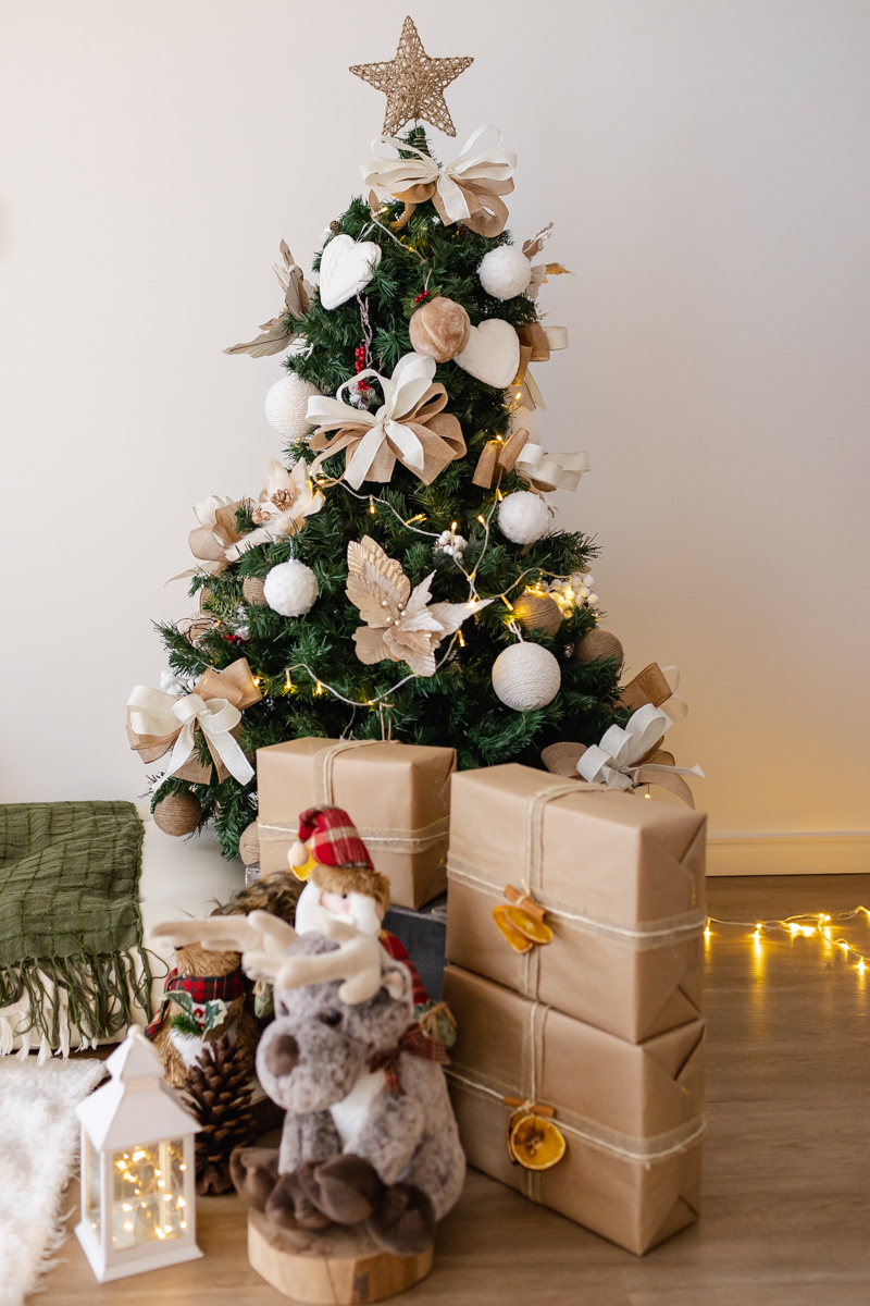 Ensaio de natal 2022 Osasco São Paulo