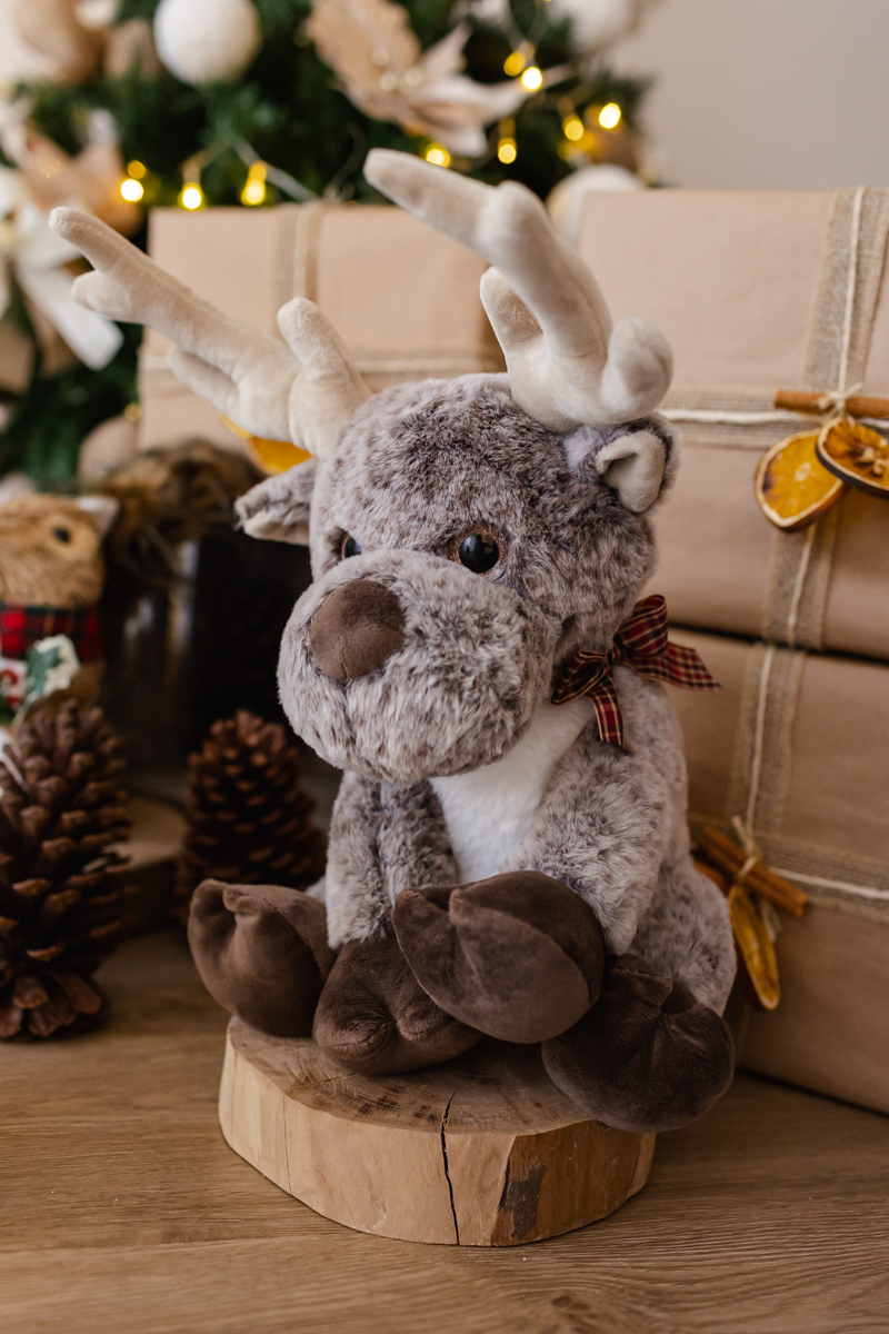 Ensaio de natal 2022 Osasco São Paulo