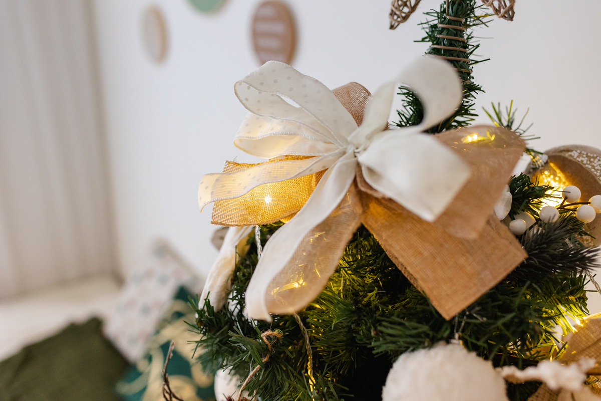 Ensaio de natal 2022 Osasco São Paulo