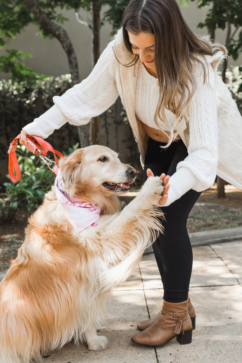 Ensaio Gestante com pet - Osasco