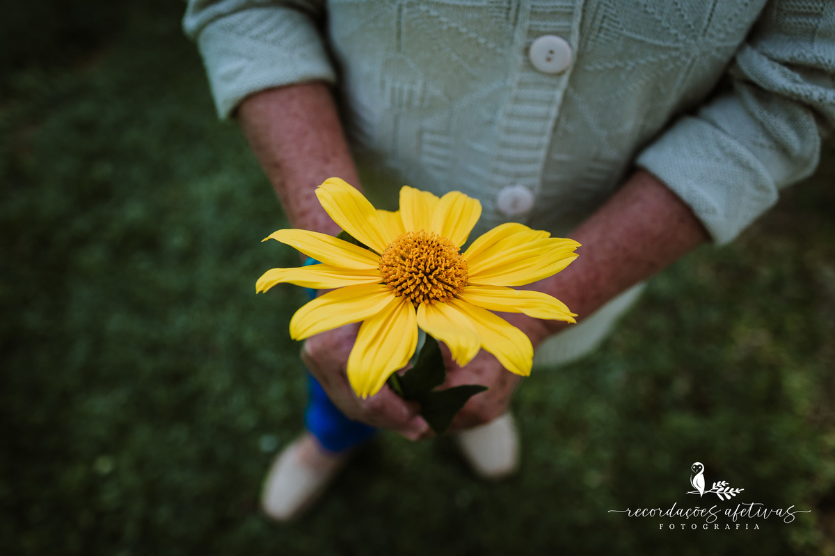 Ensaio Revelação São Roque
