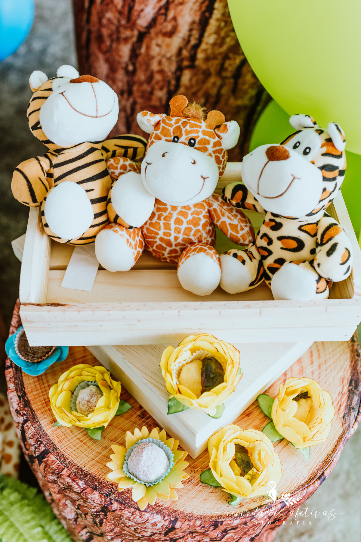 Aniversário Infantil 1 Aninho com Tema Safari na cidade de São Roque