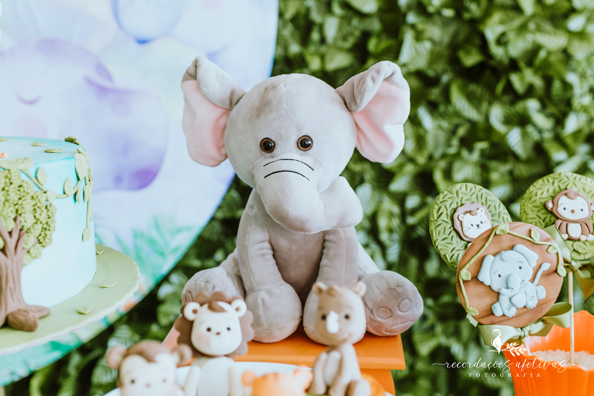 Aniversário Infantil 1 Aninho com Tema Safari na cidade de São Roque