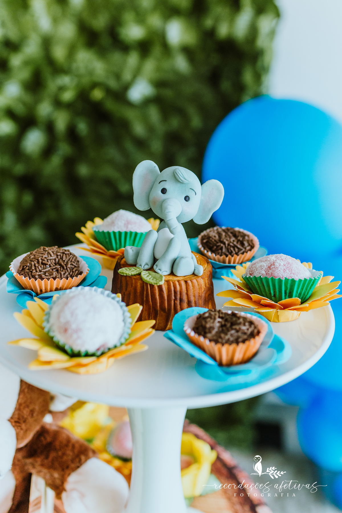 Aniversário Infantil 1 Aninho com Tema Safari na cidade de São Roque