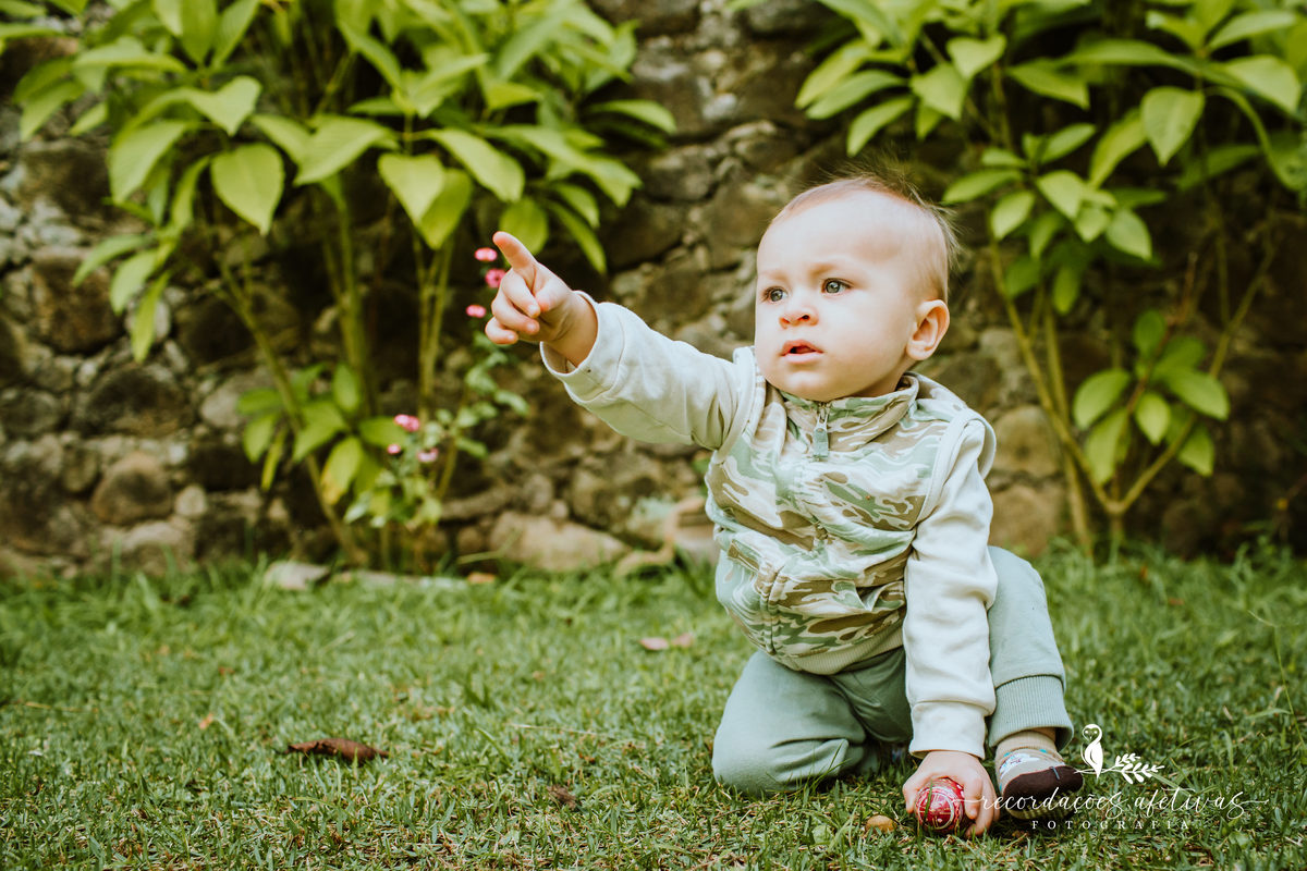 Aniversário Infantil 1 Aninho com Tema Safari na cidade de São Roque