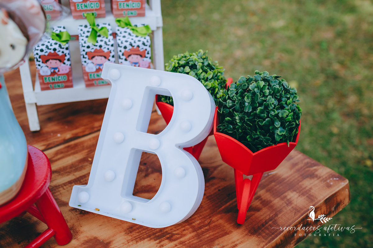 Aniversário Infantil com Tema Fazendinha em São Roque SP 