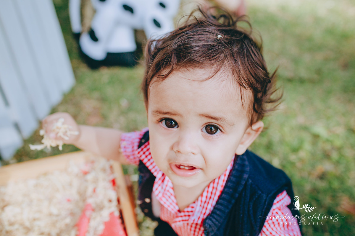 Aniversário Infantil com Tema Fazendinha em São Roque SP 