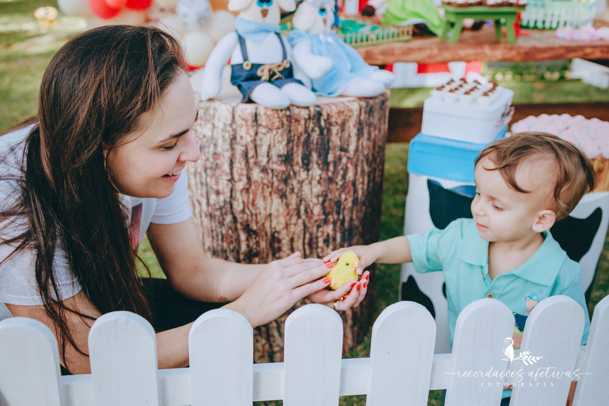 Aniversário Infantil com Tema Fazendinha em São Roque SP 